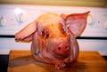 Pig Head